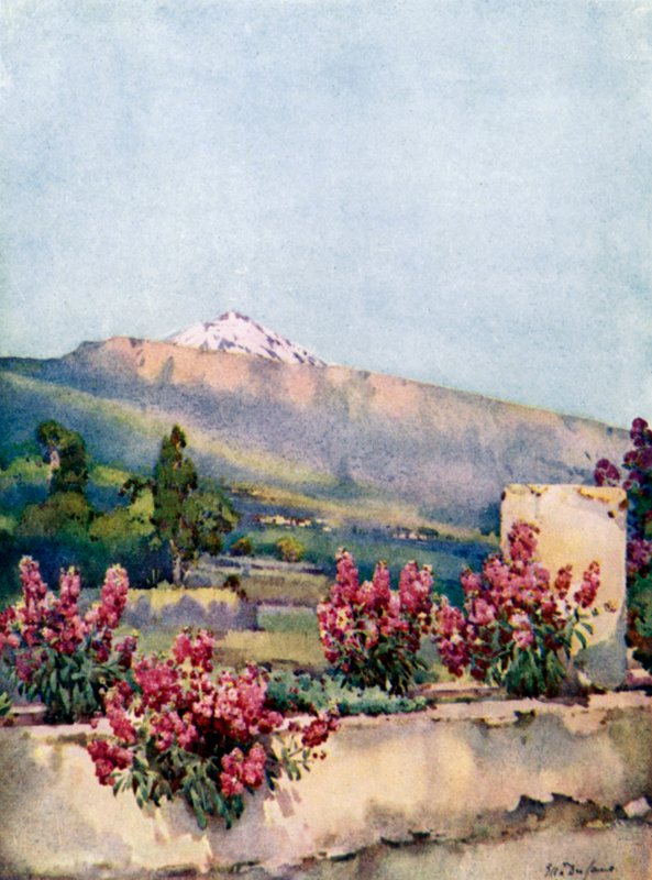 The Peak, from Villa Orotava by Ella Du Cane