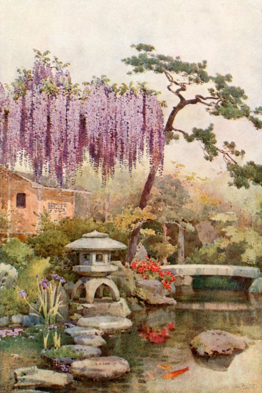 Wisteria in a Kyoto Garden by Ella Du Cane
