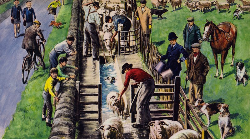A sheep dip, England, 1960s by English School