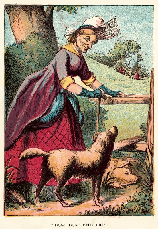 Dog! dog! bite pig by English School