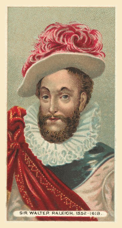 Sir Walter Raleigh, 1552-1618 by English School