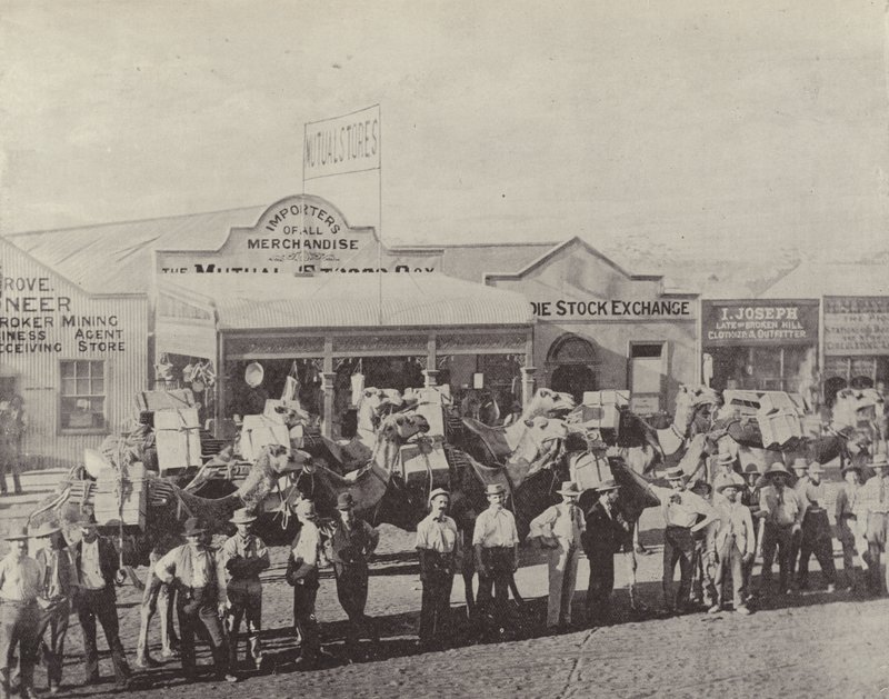 A Camel Train, Coolgardie, West Australia by English Photographer