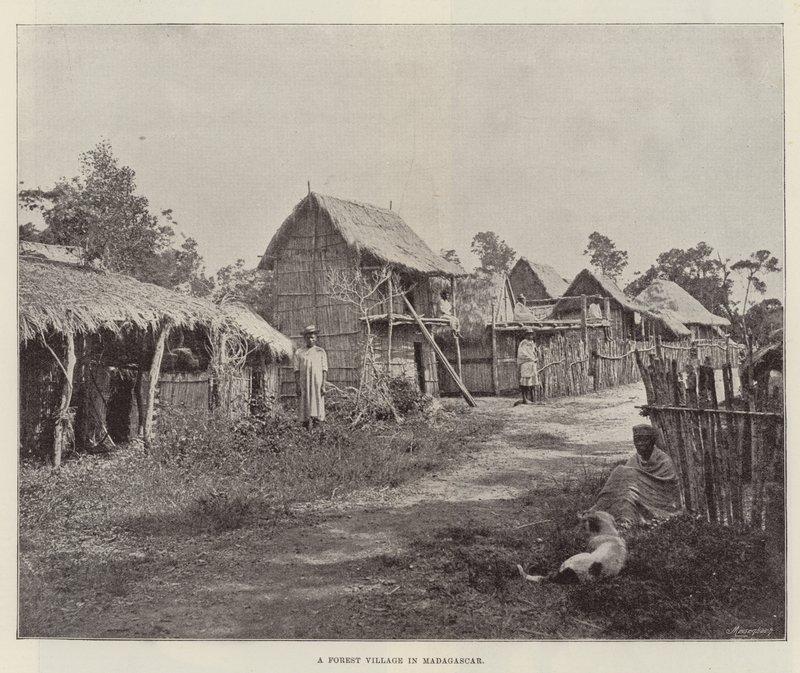A Forest Village in Madagascar by English Photographer