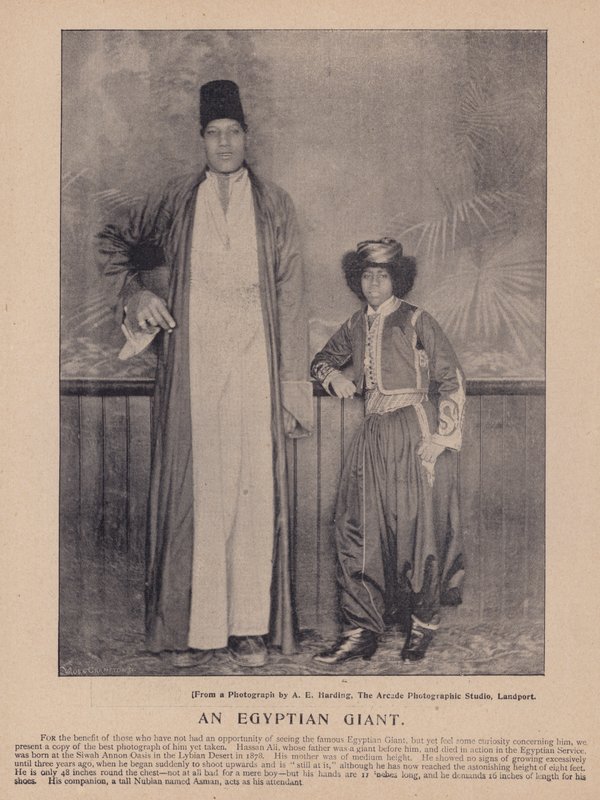 An Egyptian giant by English Photographer