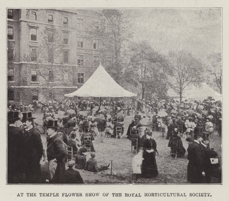 At the Temple Flower Show of the Royal Horticultural Society by English Photographer