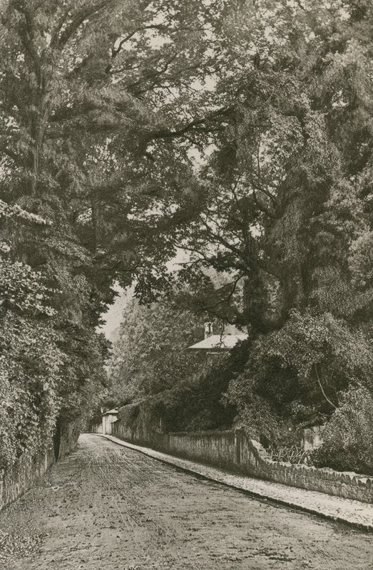 Bonchurch Road, Isle of Wight by English Photographer