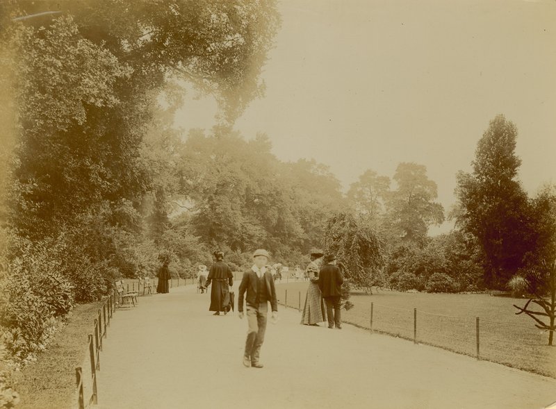 Brockwell Park, London by English Photographer
