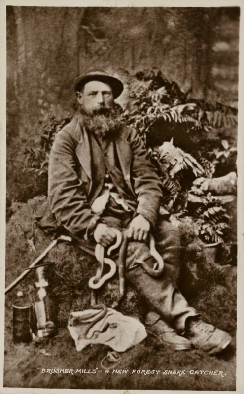 Brusher Mills, a New Forest Snake Catcher by English Photographer