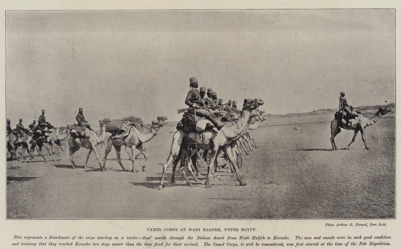Camel Corps at Wadi Halfeh, Upper Egypt by English Photographer