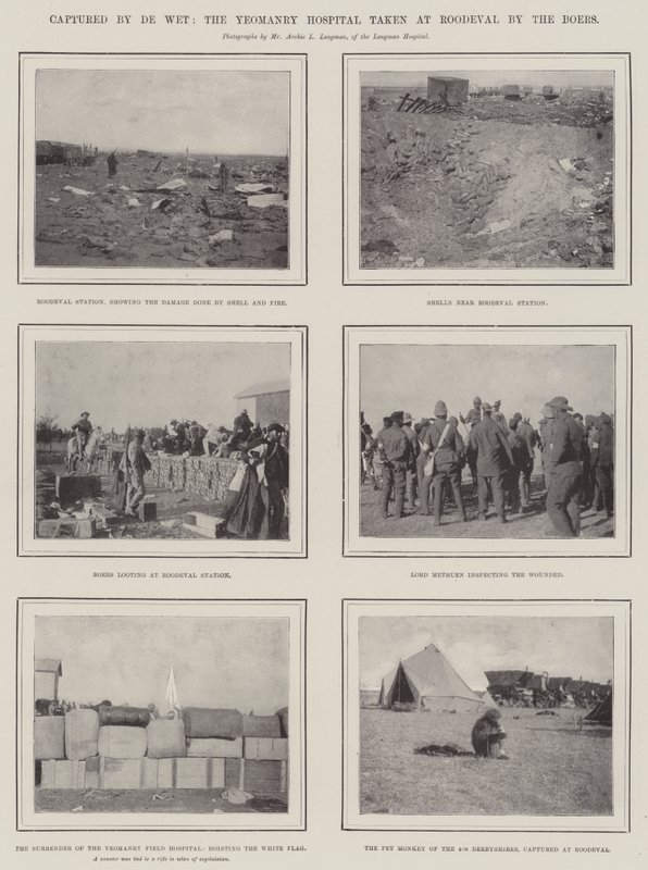 Captured by De Wet, the Yeomanry Hospital Taken at Roodeval by the Boers by English Photographer
