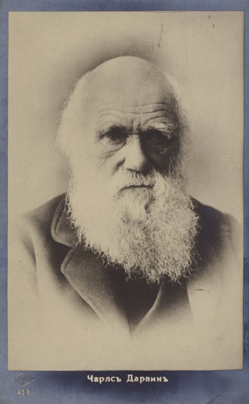Charles Darwin (1809-1882), English naturalist by English Photographer
