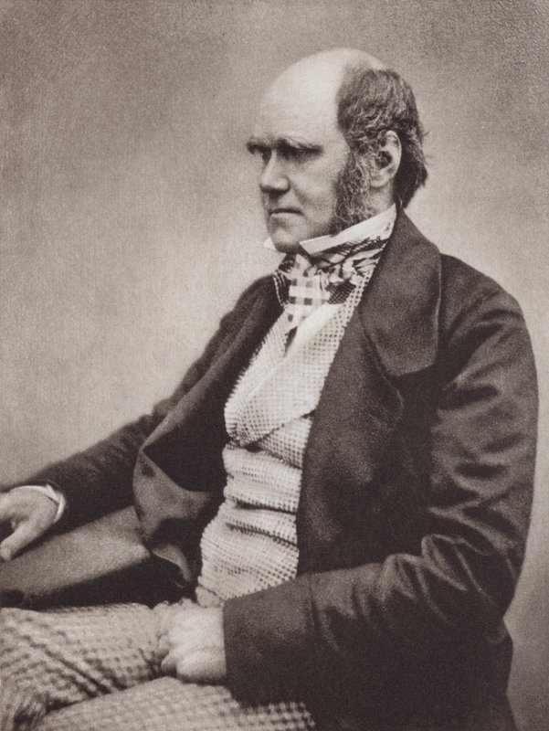 Charles Darwin, portrait, c 1854, from a photograph by Maull & Fox by English Photographer