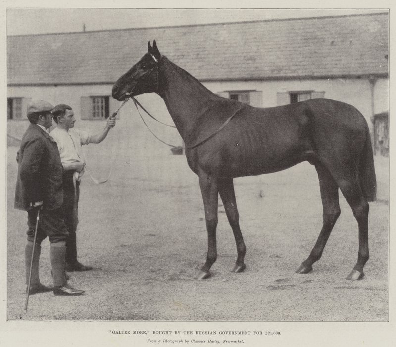 Galtee More, Bought by the Russian Government for £21,000 by English Photographer