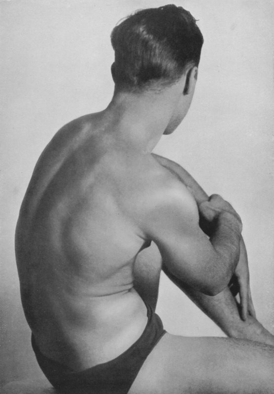 Illustration for The Male Body by English Photographer