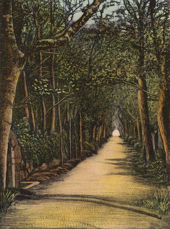 Jersey: Vinchelez Lane by English Photographer