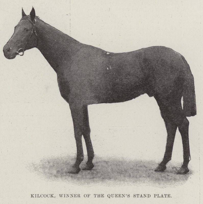 Kilcock, Winner of the Queen