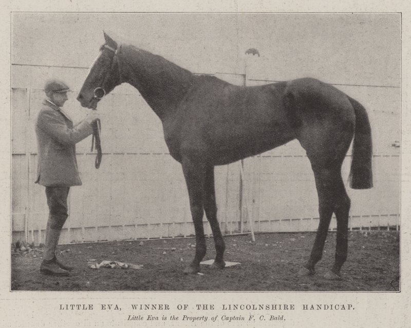 Little Eva, Winner of the Lincolnshire Handicap by English Photographer