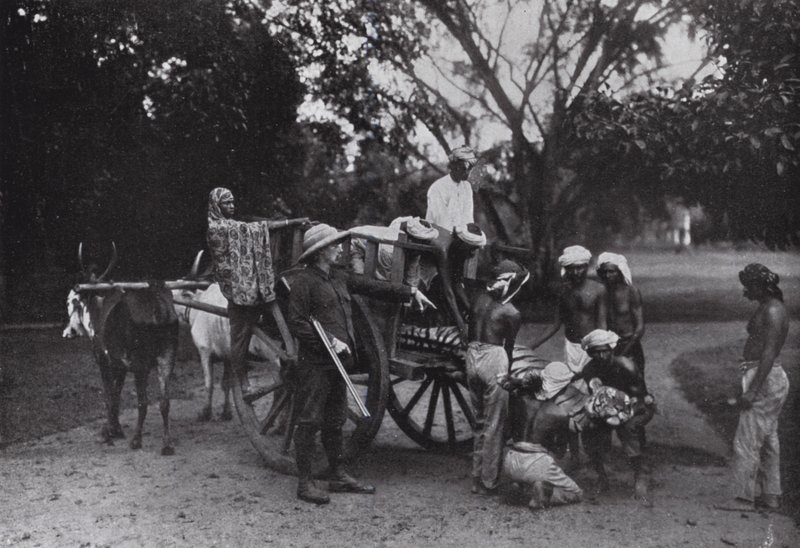 Mr G P Owen and a Singapore Tiger by English Photographer