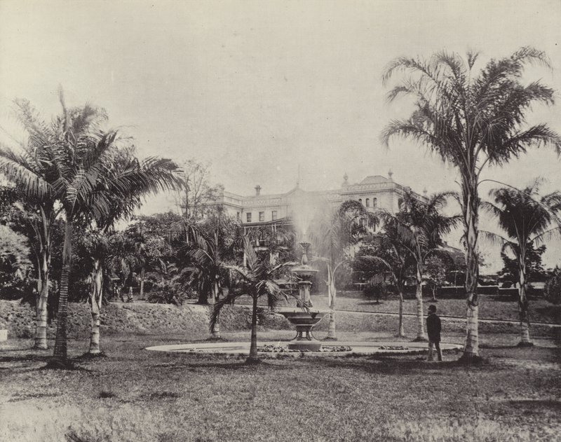 Palms and Fountain, Botanical Gardens, Brisbane by English Photographer