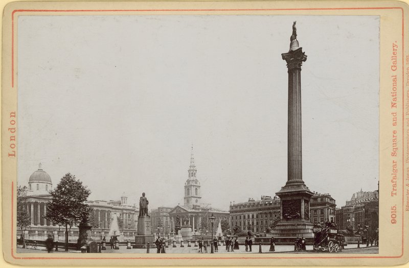 Image of Nelson