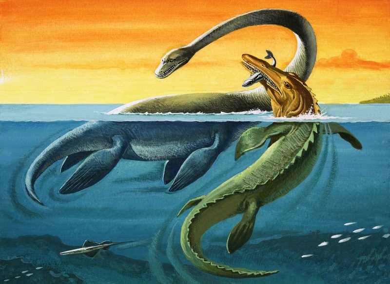Prehistoric Creatures in the Ocean by English Photographer