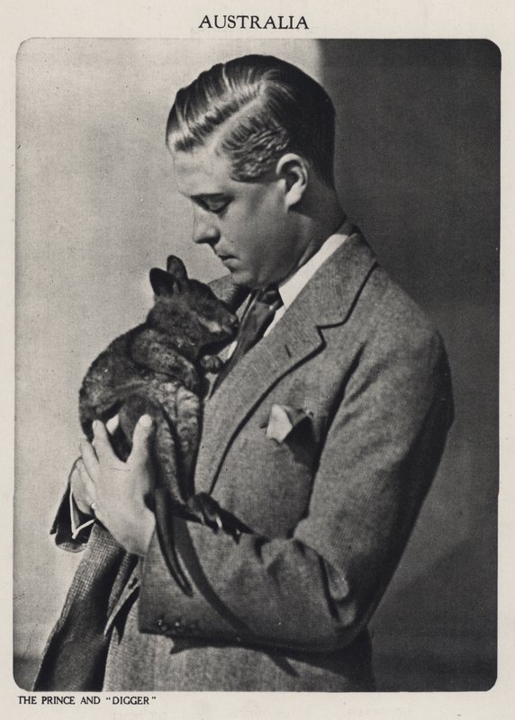 Prince of Wales and Digger, a baby kangaroo by English Photographer