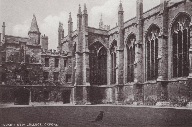Quadrangle, New College, Oxford by English Photographer