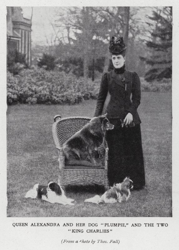 Queen Alexandra with her dog, Plumpie, and her two King Charles spaniels by English Photographer