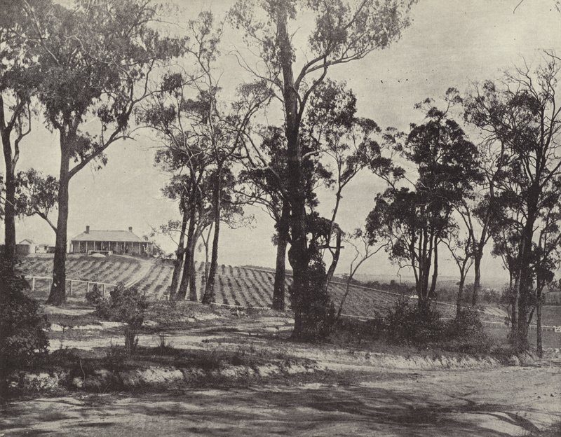 Scene on the Gembrook Road, Victoria by English Photographer