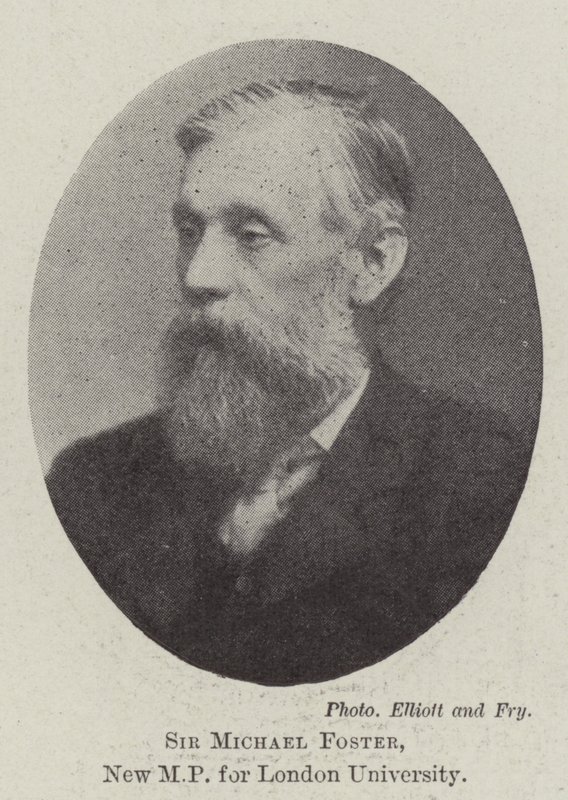 Sir Michael Foster, New MP for London University by English Photographer