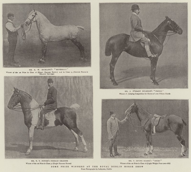 Some Prize Winners at the Royal Dublin Horse Show by English Photographer