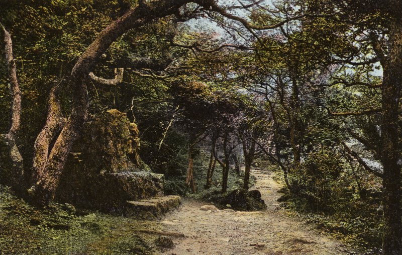 Stone Seat, the Landslip by English Photographer