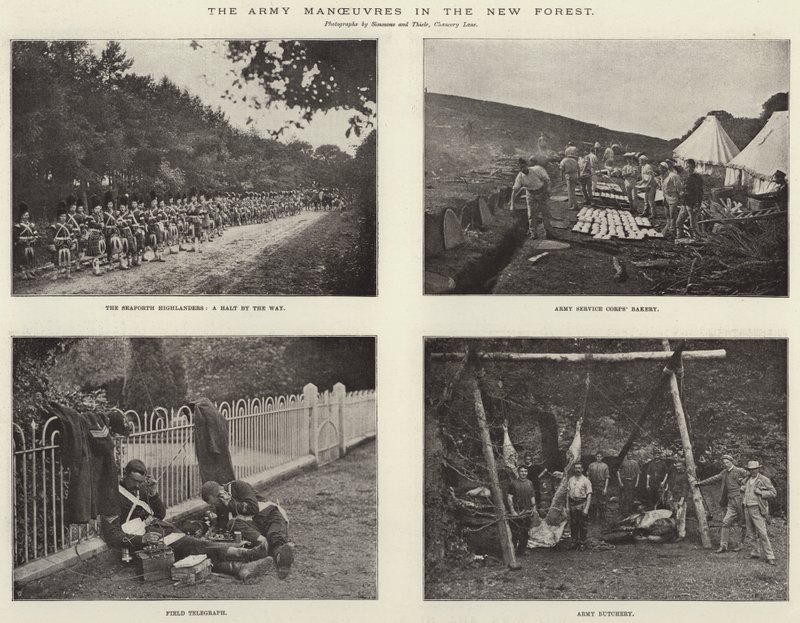 The Army Manoeuvres in the New Forest by English Photographer