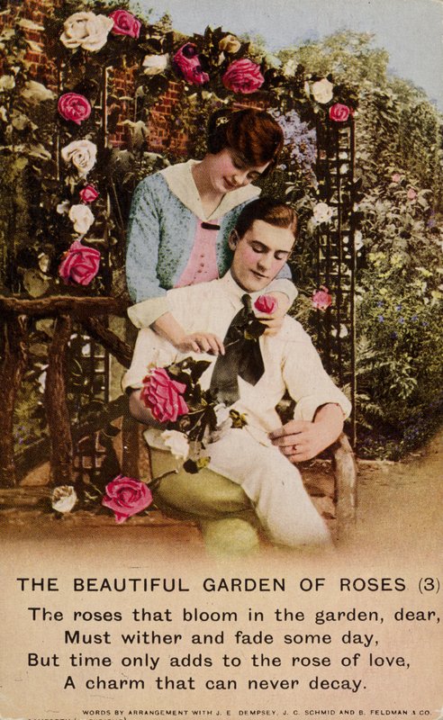 The Beautiful Garden of Roses by English Photographer