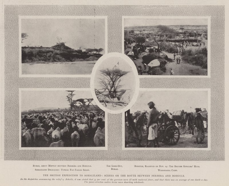 The British Expedition to Somaliland, Scene on the Route between Berbera and Bohotle by English Photographer
