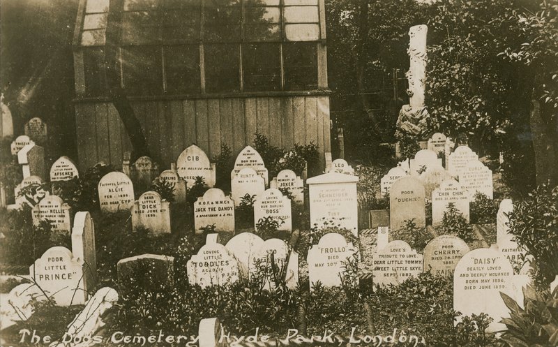The Dogs Cemetery, Hyde Park, London by English Photographer