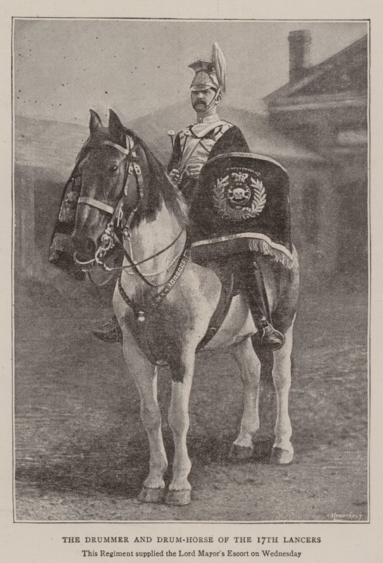 The Drummer and Drum-Horse of the 17th Lancers by English Photographer