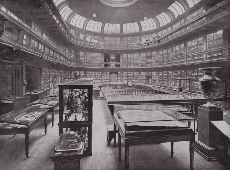 The Geological Museum, Piccadilly by English Photographer