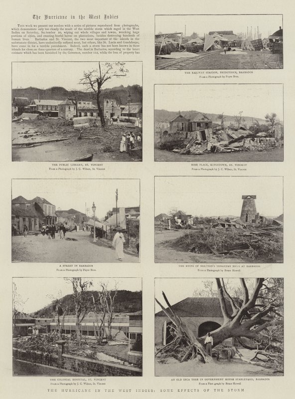 The Hurricane in the West Indies, Some Effects of the Storm by English Photographer