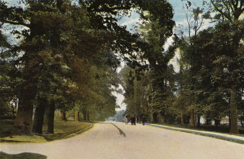 The Long Avenue, Coventry by English Photographer