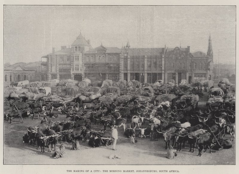 The Making of a City, the Morning Market, Johannesburg, South Africa by English Photographer