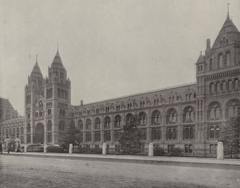 The Natural History Museum by English Photographer