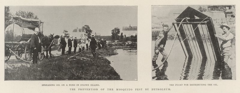 The Prevention of the Mosquito Pest by Petroleum by English Photographer