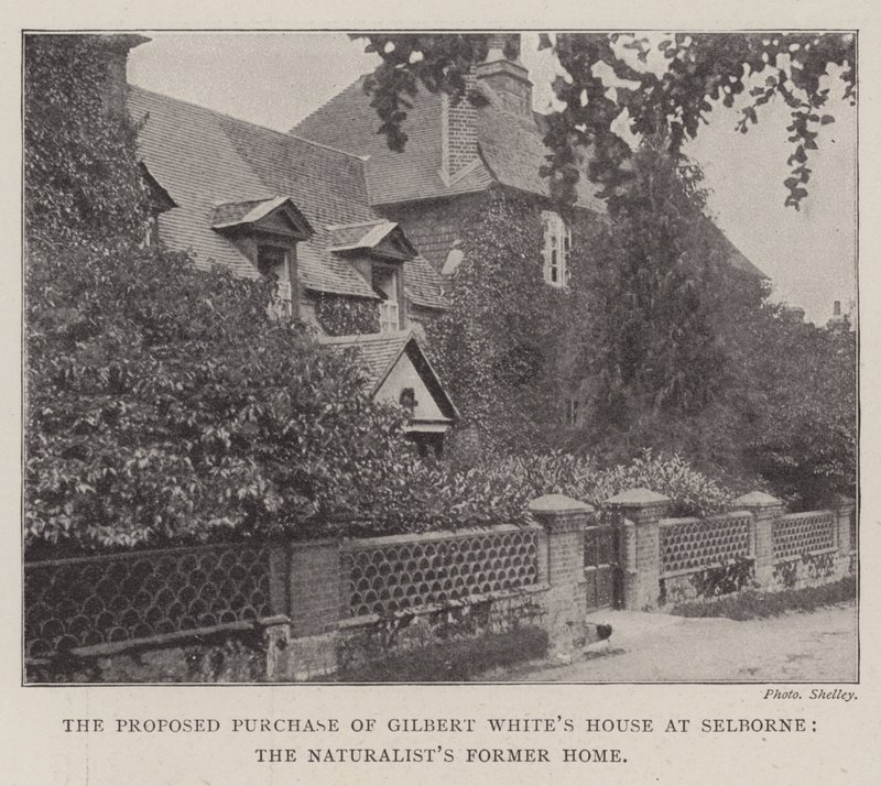The Proposed Purchase of Gilbert White
