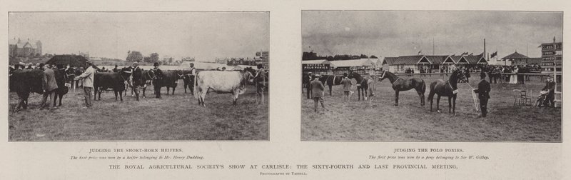The Royal Agricultural Society