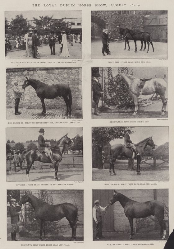 The Royal Dublin Horse Show, 26-29 August by English Photographer