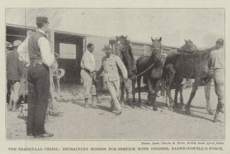 The Transvaal Crisis, detraining Horses for Service with Colonel Baden-Powell