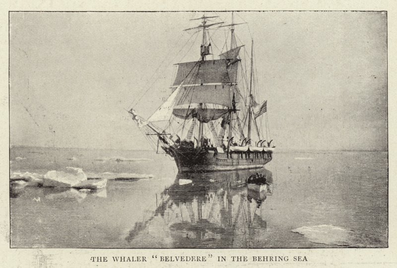The Whaler Belvedere in the Behring Sea by English Photographer