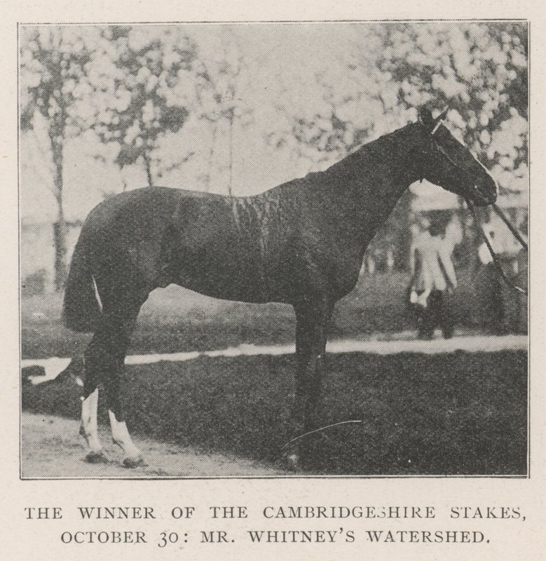 The Winner of the Cambridgeshire Stakes, 30 October, Mr Whitneys Watershed by English Photographer