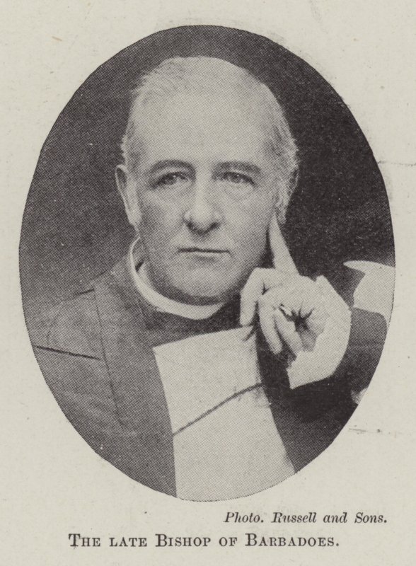 The Late Bishop of Barbados by English Photographer